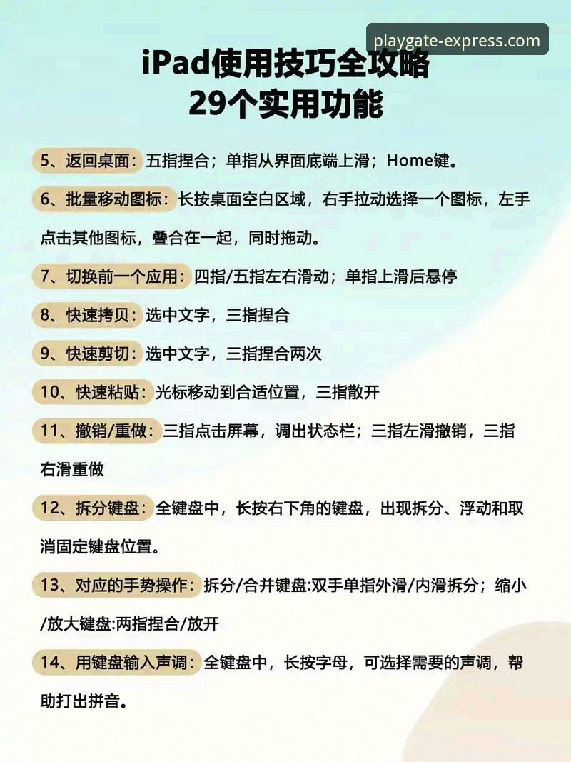 如何全面掌握PG电子体验版功能？新手必看操作指南